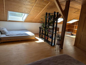 Eigene Etage im charmanten Holzhaus